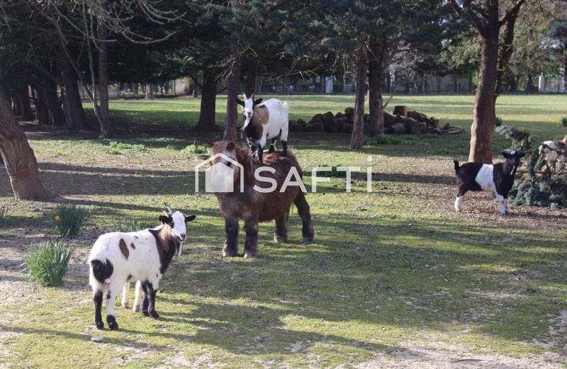 Maison - 375 m² - 22 pièces