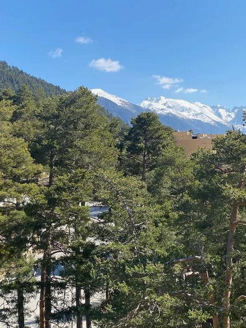 Appartement - 32 m² - 1 pièce