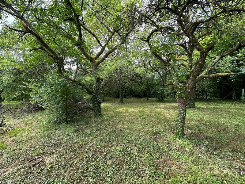 Terrain constructible - 956 m²