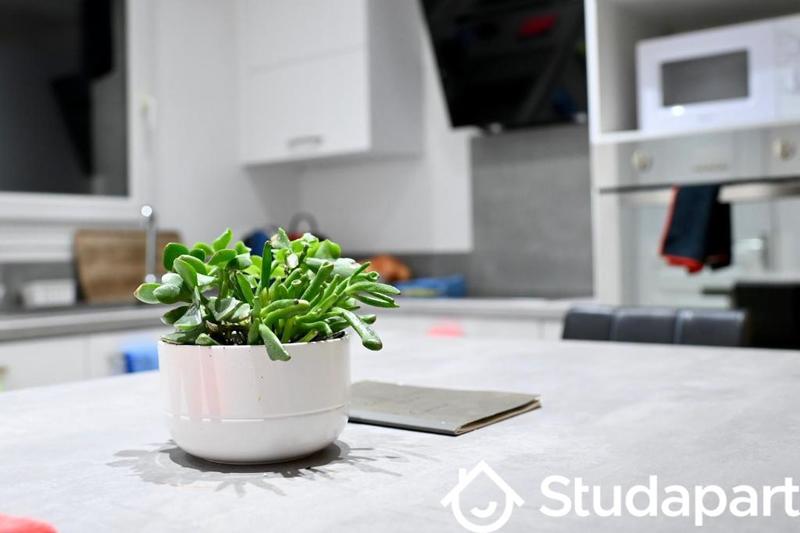 Appartement - 60 m² - 3 pièces