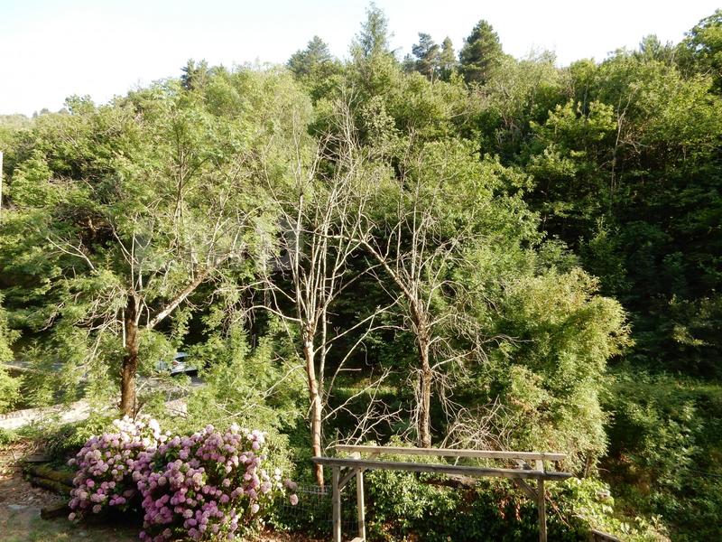 Maison - 116 m² - 5 pièces