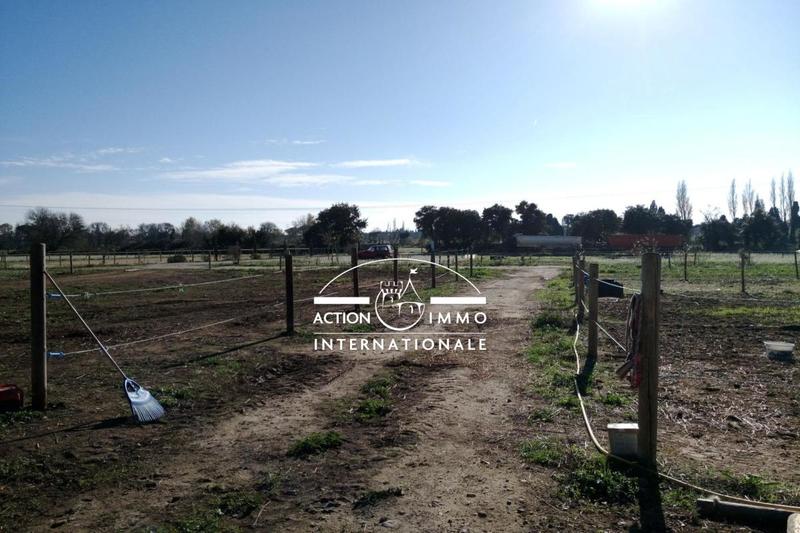 Maison de domaine équestre - 400 m² - 14 pièces