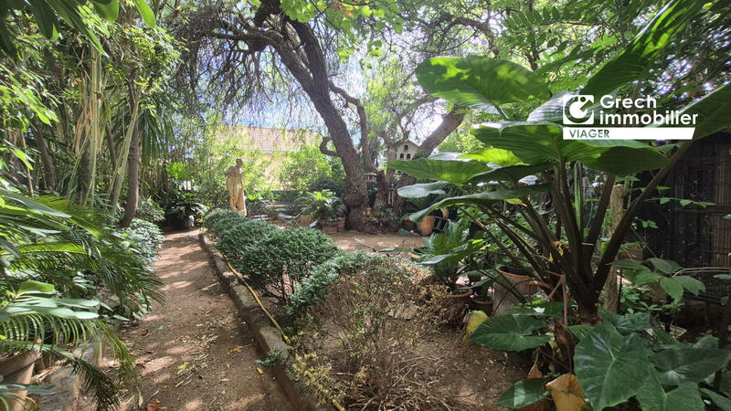 Viager - Maison - 224 m² - 6 pièces