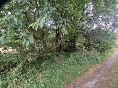 Terrain de loisirs - 7 000 m²