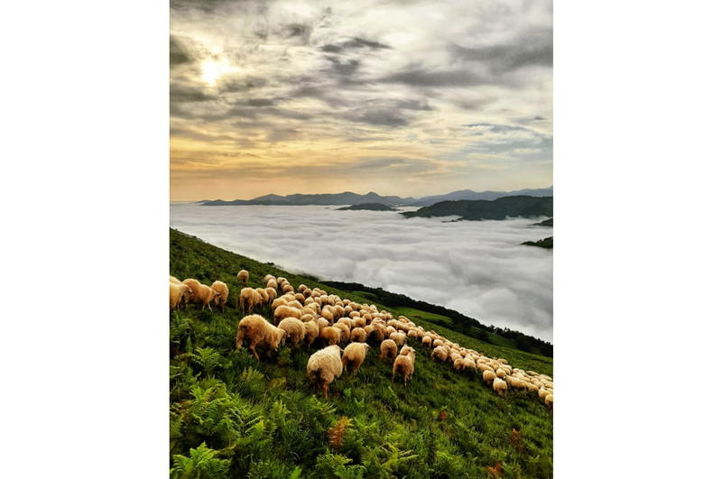 Rando à la ferme avec Trott'Iraty