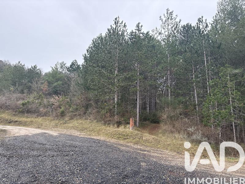 Terrain - 240 000 m²