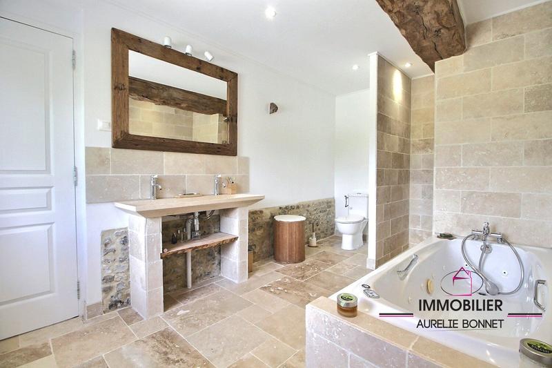 Maison ancienne - 380 m² - 12 pièces