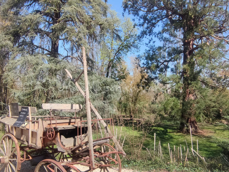 Maison - 585 m² - 12 pièces