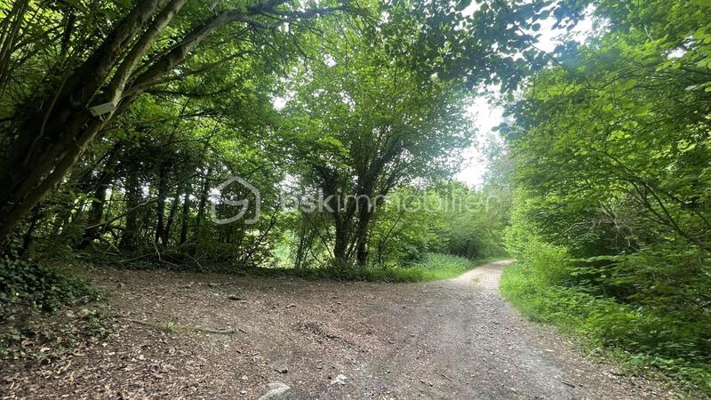 Terrain de loisirs - 1 900 m²