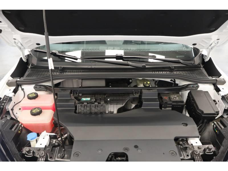 Mg Mg4 Electric 51kWh - 125 kW 2wd Standard