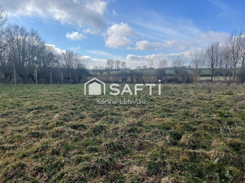 Terrain - 11 965 m²