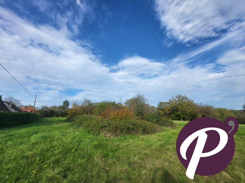 Terrain - 14 806 m²