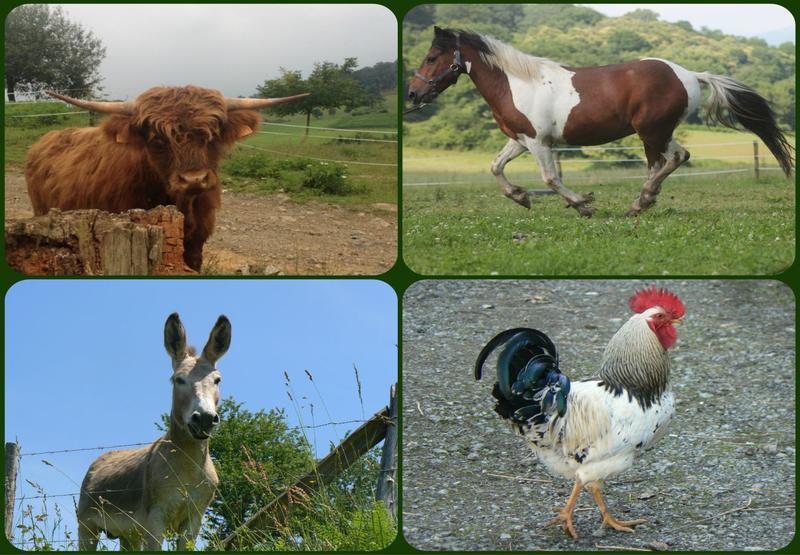 Les animaux de la ferme, jeux de société, tatouage, décoration de Noël et chalet des associations