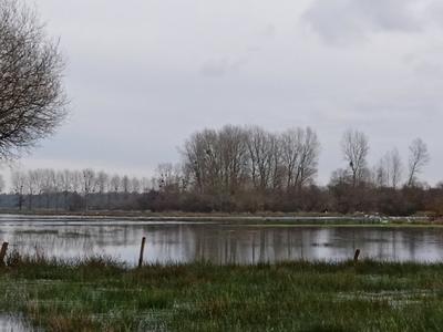 Les marais blancs de Carentan