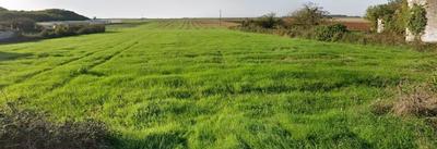 Terrain constructible - 3 243 m²