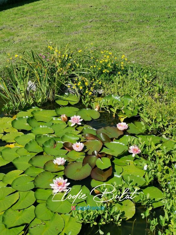 Maison - 137 m² - 5 pièces