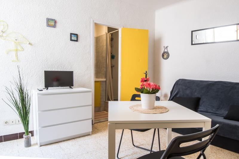 Appartement - 20 m² - 1 pièce