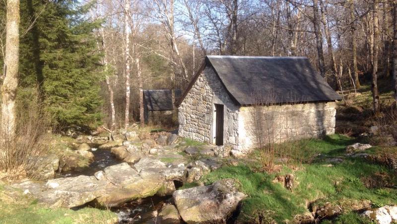 Projection et deébat sur le thème des abeilles