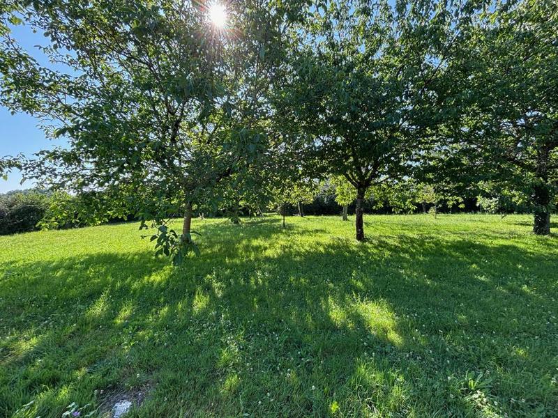 Maison en pierre - 138 m²