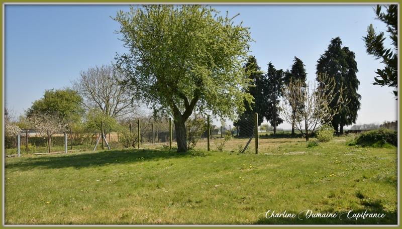 Terrain constructible - 1 162 m²