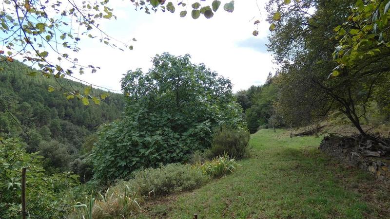 Propriété - 146 m²