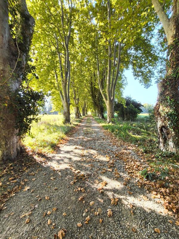 Maison de maîtres - 510 m² - 18 pièces