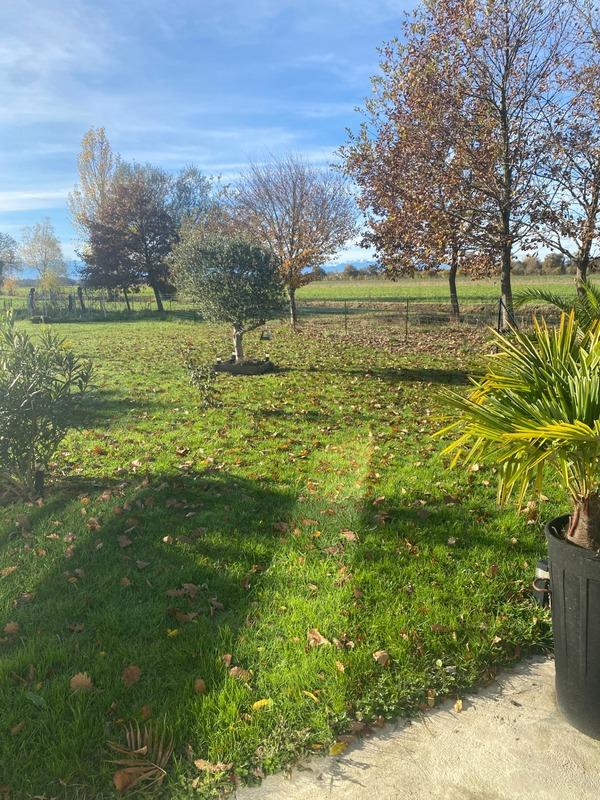 Maison - 720 m² - 6 pièces