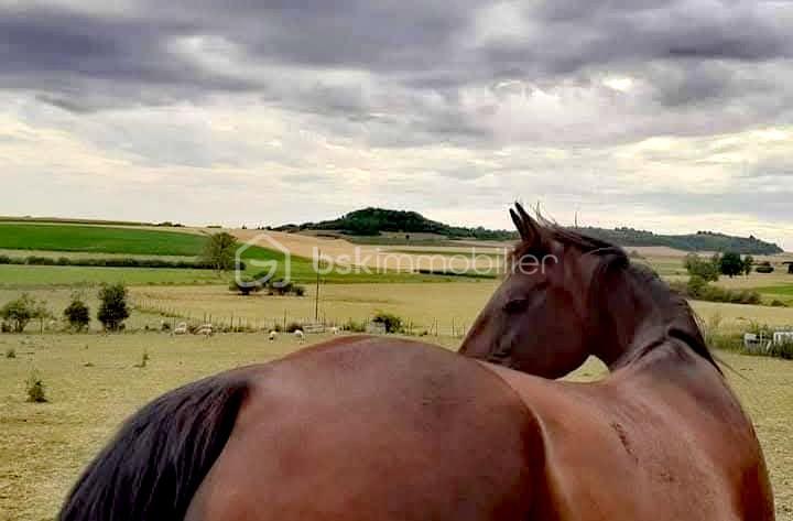 Maison de domaine équestre - 2 112 m² - 1 pièce