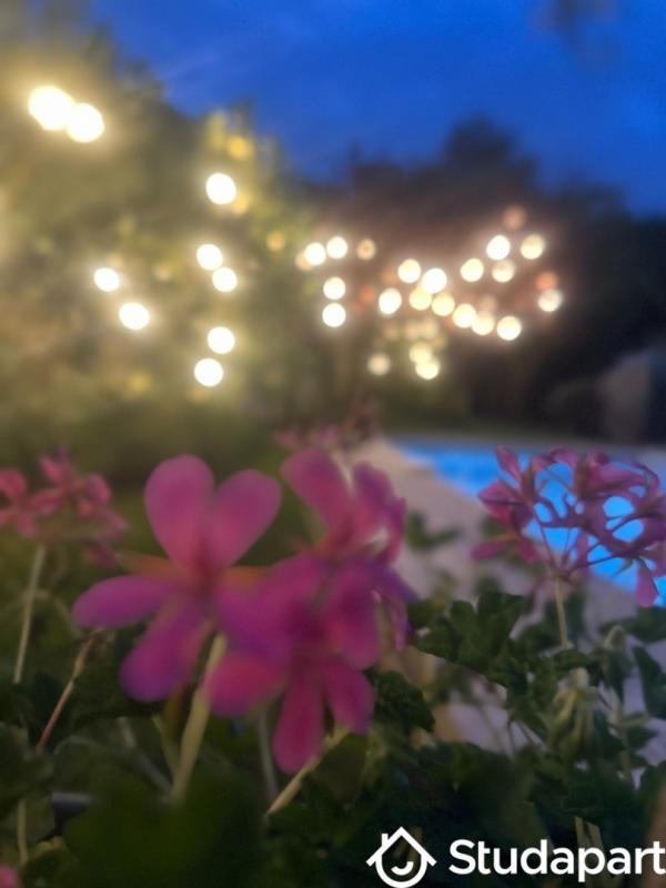 Chambre - 9 m² - 1 pièce