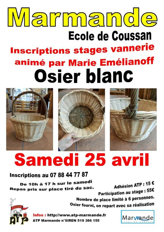 Stage de vannerie Osier blanc