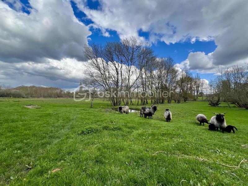 Maison - 193 m² - 5 pièces