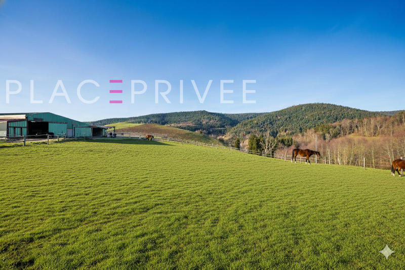 Maison de domaine équestre - 320 m² - 11 pièces