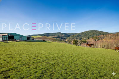 Maison de domaine équestre - 320 m² - 11 pièces