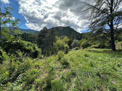 Terrain constructible - 1 510 m²