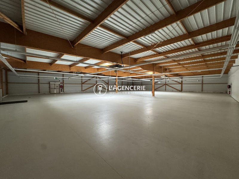 Local commercial - 1 181 m²