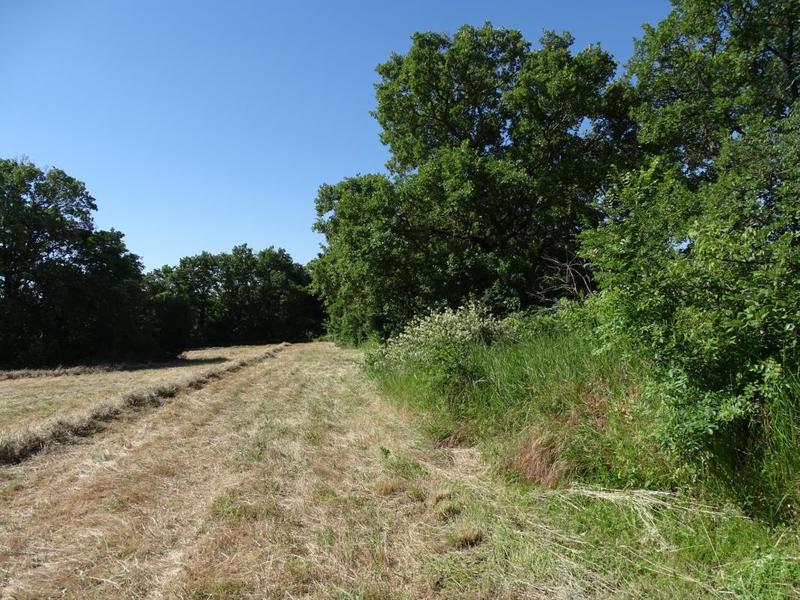 Terrain constructible - 600 m²