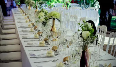 L'Essence des Sèves