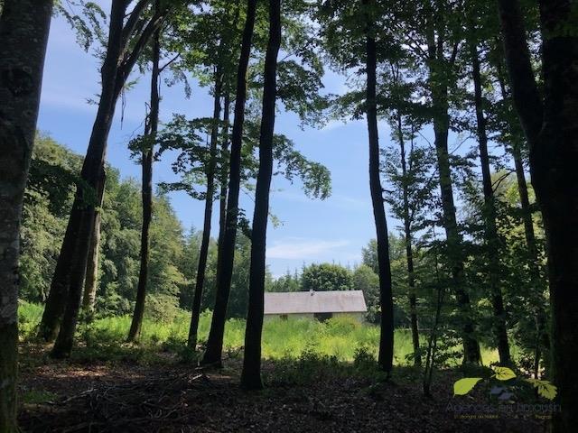 Propriété - 100 m² - 5 pièces