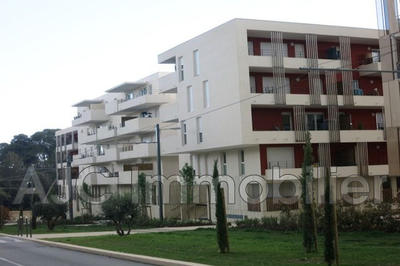 Appartement - 73 m² - 3 pièces