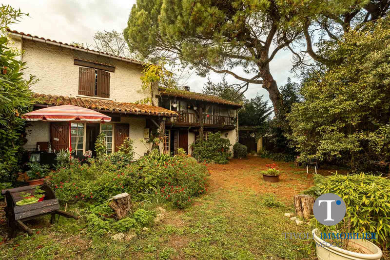 Maison ancienne - 190 m² - 6 pièces