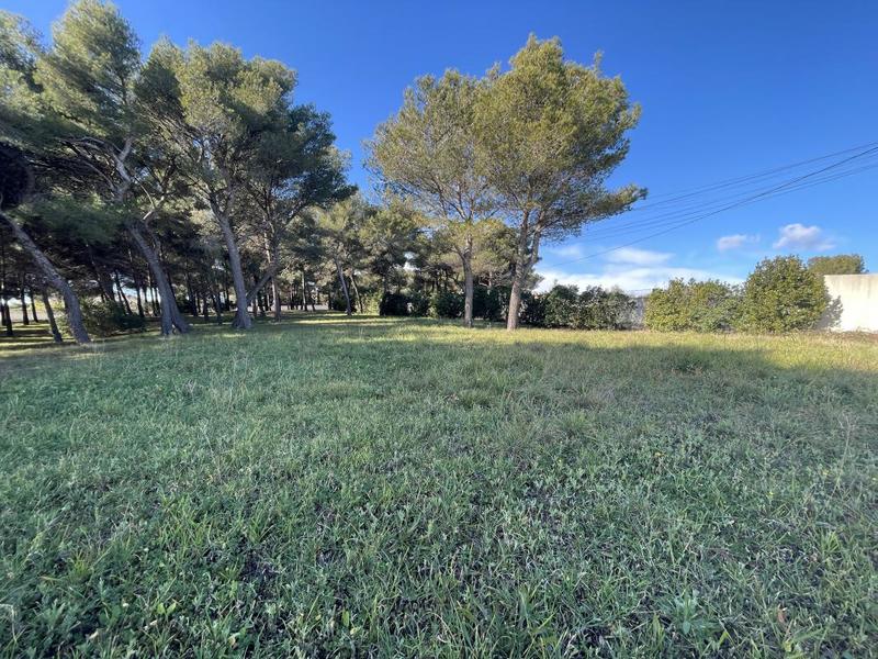 Terrain constructible - 598 m²