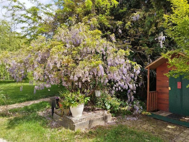 Maison ancienne - 221 m² - 10 pièces