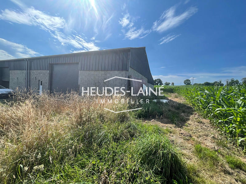 Local d'activités - 280 m² - 1 pièce