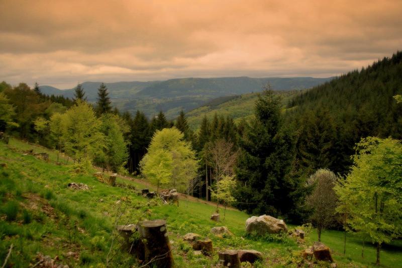 Marche printanière du 1er mai