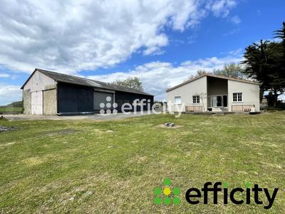 Maison - 179 m² - 5 pièces