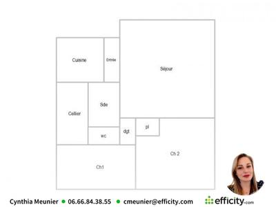 Appartement - 55 m² - 3 pièces