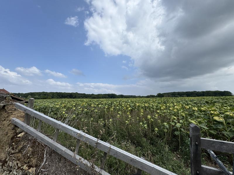 Maison - 138 m² - 5 pièces