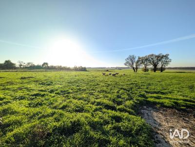 Maison - 92 m² - 5 pièces