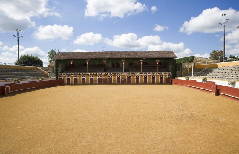 Les arènes de Mugron avec Chantal Lamolie