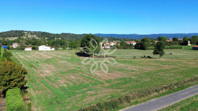Terrain - 13 541 m²